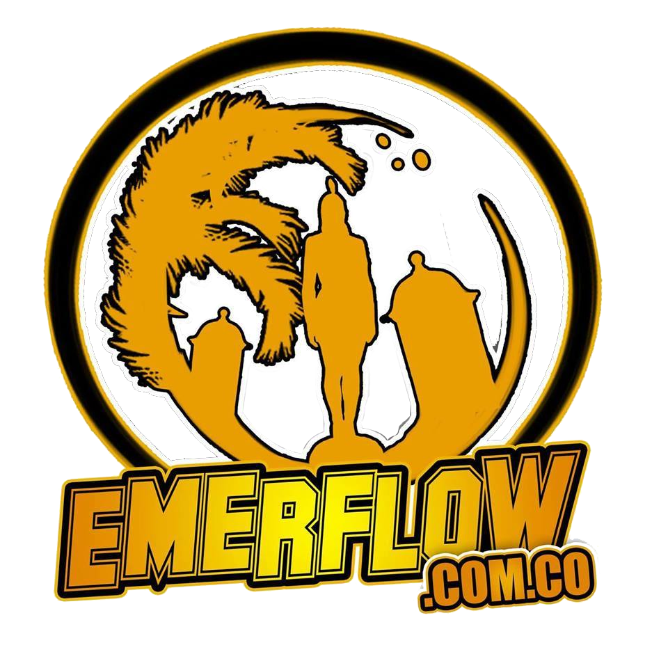 www.emerflow.org